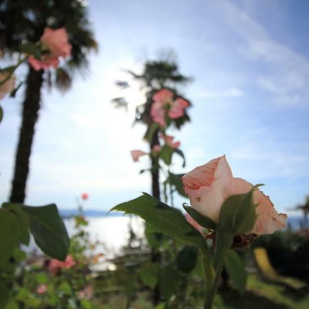 Tramontana Leeward - Cozy And Charming Apartment In Beautiful Volosko 오파티아 외부 사진